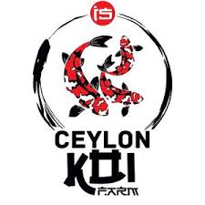 E-Commerce Revolution